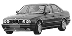 BMW E34 P206C Fault Code